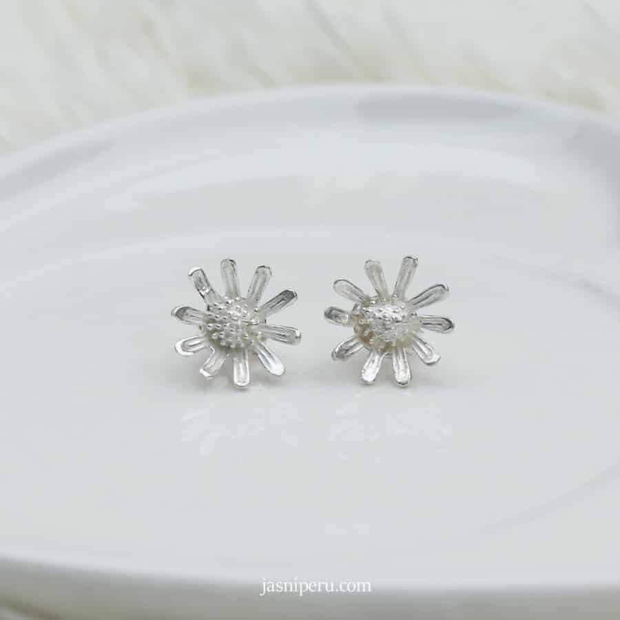 Arete Filomena - Imagen 2