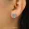 Arete Camelia