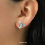 Arete Trilium