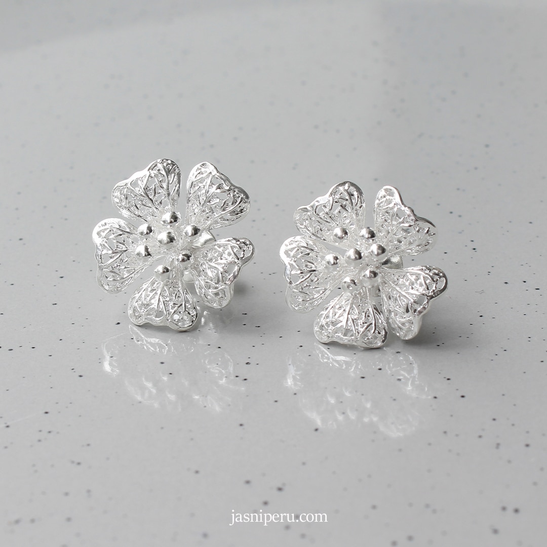 Arete Fizi - Imagen 2